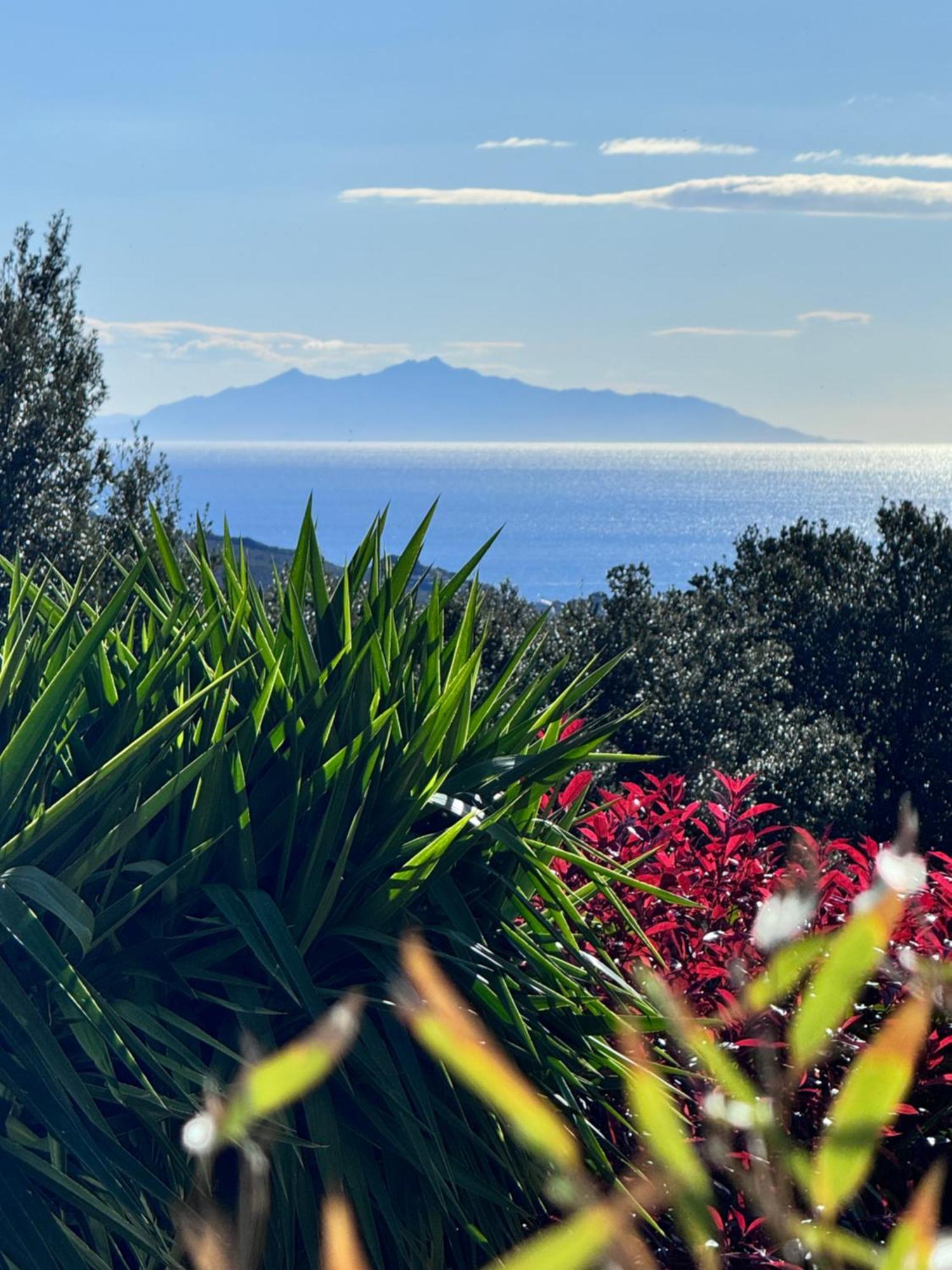 Gîte indépendant dans villa entre mer et maquis Sisco Exterior foto